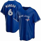 Toronto Blue Jays #6 Alek Manoah Blue Puhics Stitched Cool Base Jersey