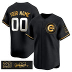 Custom Chicago Cubs Active Player Black Gold Puhics 'Ryne Sandberg Tribute' Vapor Limited V3 Stitched Jersey
