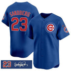 Chicago Cubs #23 Ryne Sandberg Royal Puhics 'Ryne Sandberg Tribute' Vapor Limited V3 Stitched Jersey