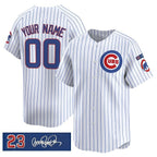 Custom Chicago Cubs Active Player White Puhics 'Ryne Sandberg Tribute' Vapor Limited V3 Stitched Jersey