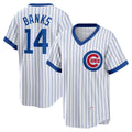 Chicago Cubs #14 Ernie Banks White Puhics Home Cooperstown Collection Player Jersey