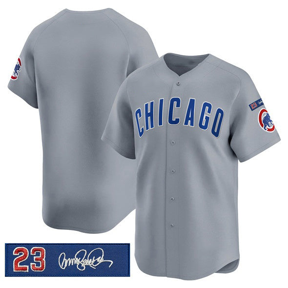 Chicago Cubs Blank Gray Puhics 'Ryne Sandberg Tribute' Vapor Limited V3 Stitched Jersey