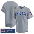 Chicago Cubs Blank Gray Puhics 'Ryne Sandberg Tribute' Vapor Limited V3 Stitched Jersey