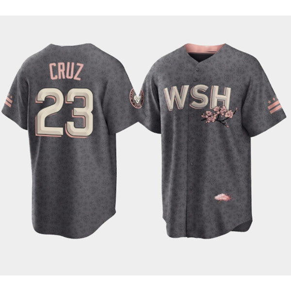 Washington Nationals #23 Nelson Cruz 2022 Grey Puhics City Connect Cherry Blossom Cool Base Stitched Jersey