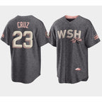 Washington Nationals #23 Nelson Cruz 2022 Grey Puhics City Connect Cherry Blossom Cool Base Stitched Jersey