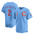 Chicago Cubs #2 Nico Hoerner Blue Puhics 2024-25 2nd Alternate Limited Stitched Jersey