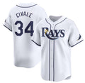 Tampa Bay Rays #34 aron Civale White Puhics Home Limited Stitched Jersey